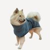 Ein Eurasier trägt einen Hundebademantel in Grau.