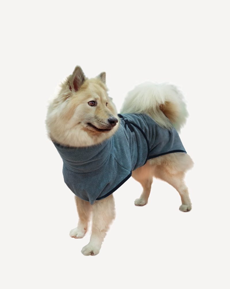 Ein Eurasier trägt einen Hundebademantel in Grau.