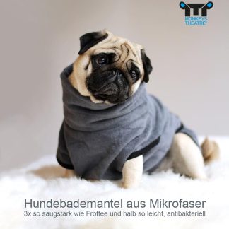 Mops trägt einen Hundebademantel in Größe eins in Graublau.