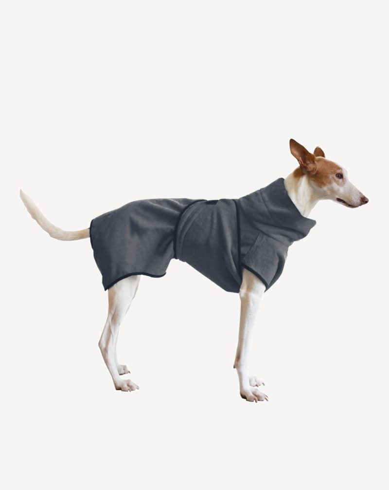 Tebt terrier trägt einen Hunde-Bademantel in grau-blau