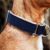 An einem Hundehals ist ein dunkelblaues Halsband aus Baumwolle von Vackertass. Die Innenseit ist beige.
