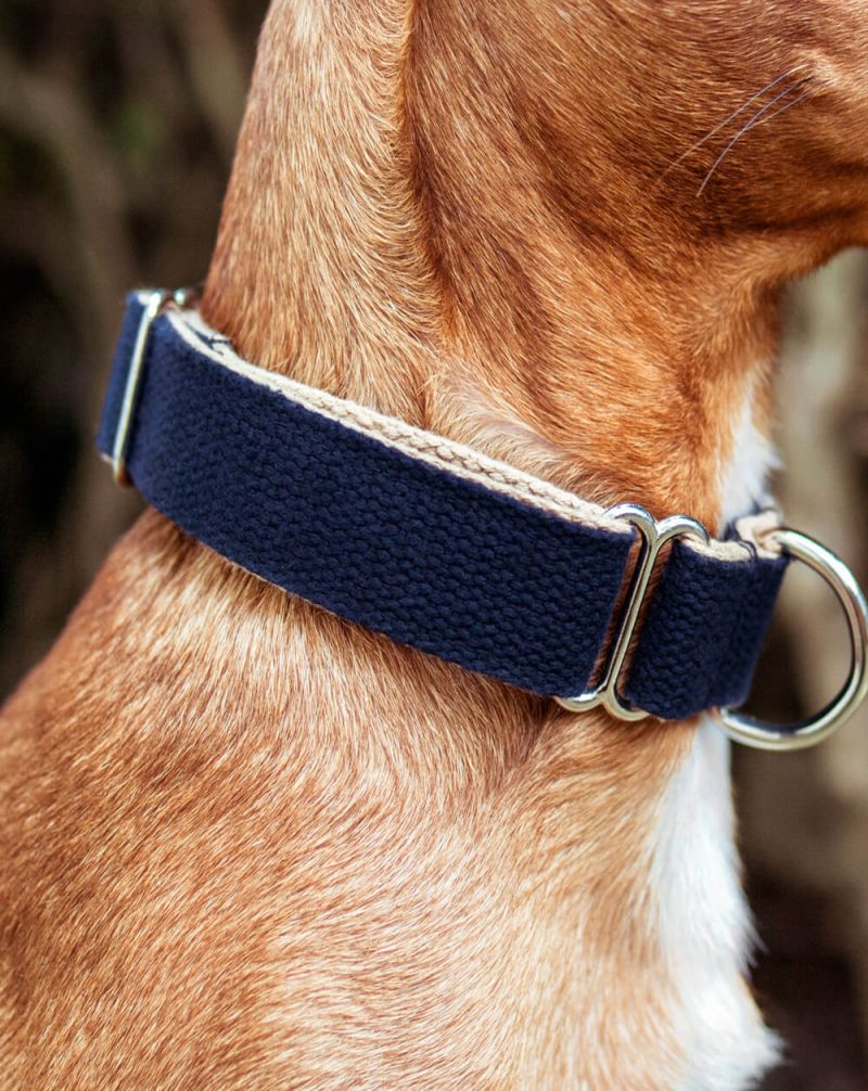 An einem Hundehals ist ein dunkelblaues Halsband aus Baumwolle von Vackertass. Die Innenseit ist beige.