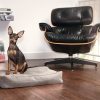 Kleiner schwarzer Hund sitzt auf einem grauen Hundekissen. Daneben steht ein Designer-Sessel.