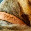 Hund trägt ein helles Lederhalsband mit Prägedruck der Firma sit-stand-stay