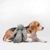 liegender Beagle mit Hundespielzeug Hase