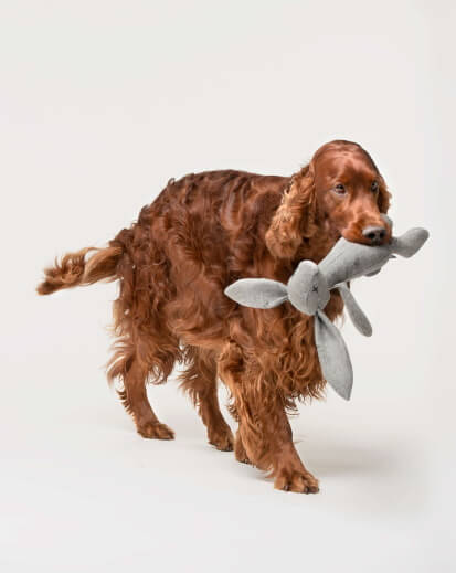 Hundespielzeug grauer Hase Rupert von Lilly Pet Shop
