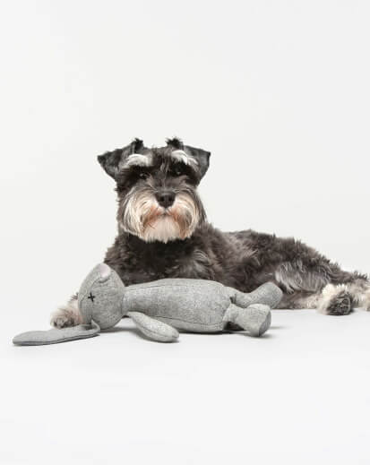 Schnauzer mit Hundespielzeug Rupert von Lilly Pet Shop