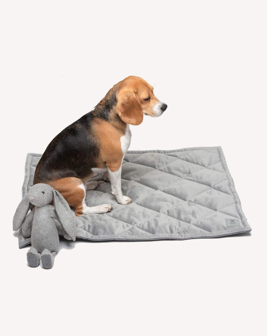 Beagle sitzt auf grauer, gesteppter Hundedecke