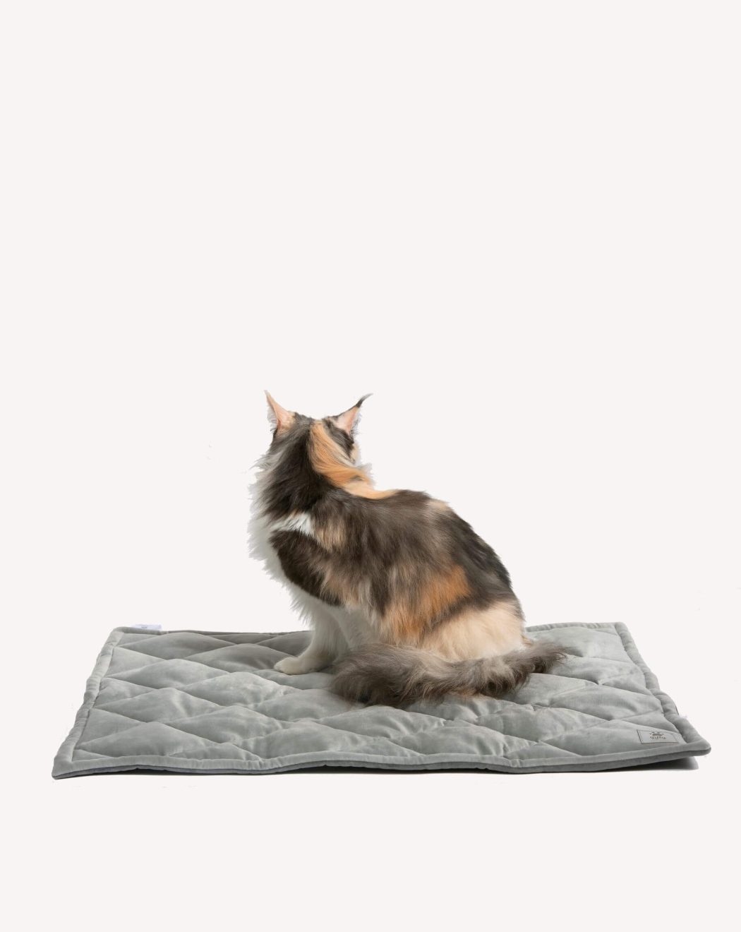 Katze sitzt auf grauer, gesteppter Decke
