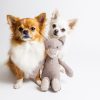 zwei Chihuahuas mit Hundespielzeug Fuchs