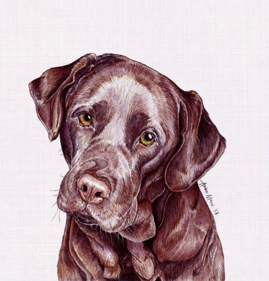 Grußkarte mit einem schokobraunen Labrador Portrait