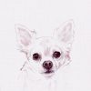 Grußkarte mit einem weißen Chihuahua Portrait