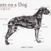 Points on a Dog-Irish Wolfhound