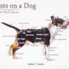 Points on a Dog-Miniature Bull Terrier