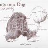 Points on a Dog-Old English Sheepdog