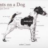 Points on a Dog-Smooth Foxterrier