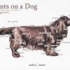 Points on a Dog-Sussex Spaniel
