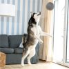 Ein Husky streckt sich nach einem Ball im Wohnzimmer